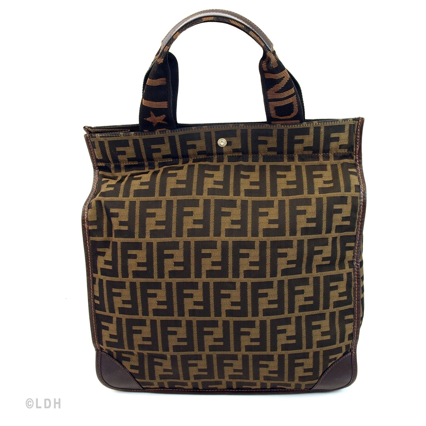 Fendi Tote (Indistinguishable)