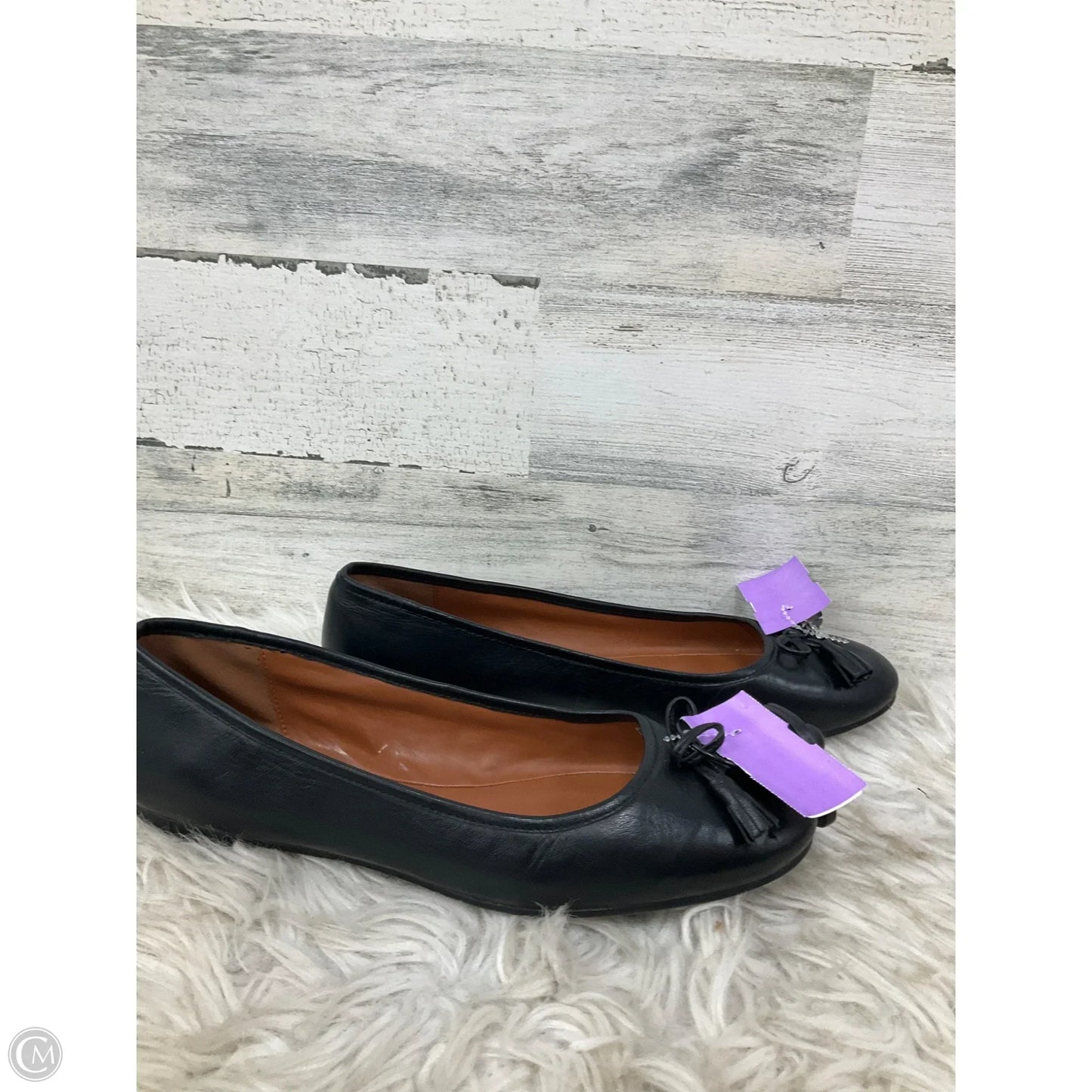 Shoes Designer By Coach In Black, Size: 10