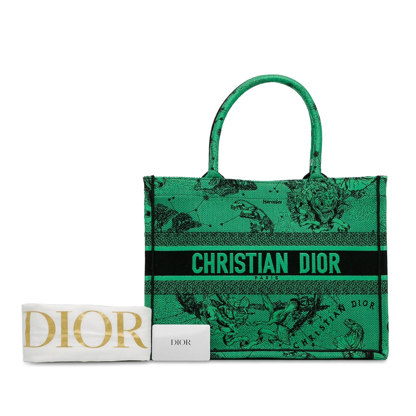 Medium Embroidered Canvas Book Tote