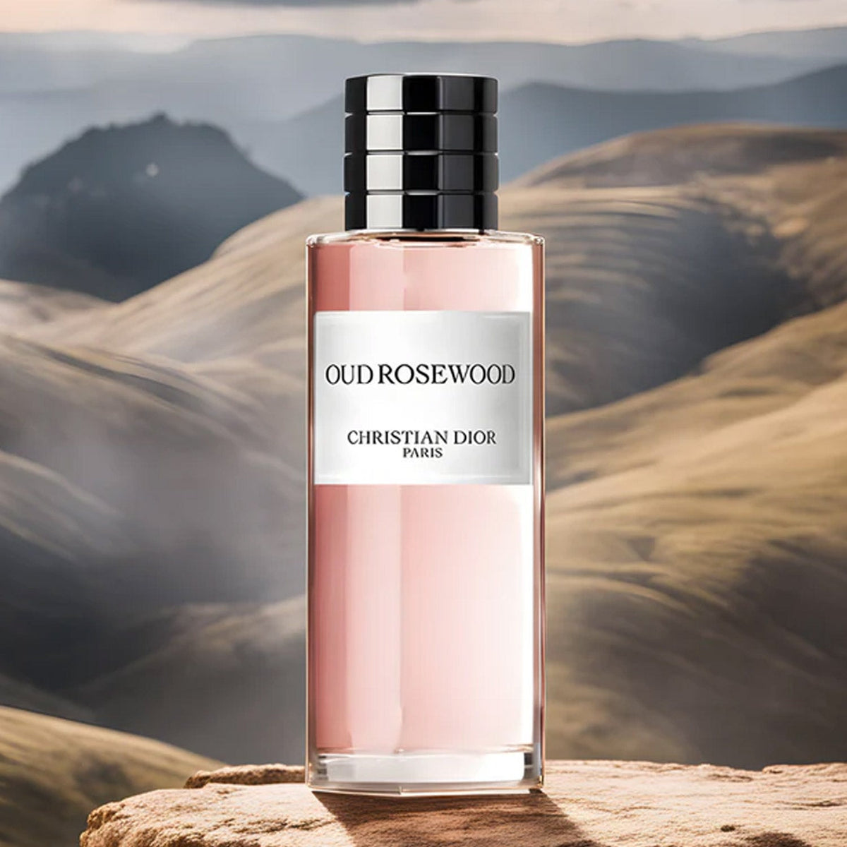 CD OUD ROSEWOOD EDP 250ML