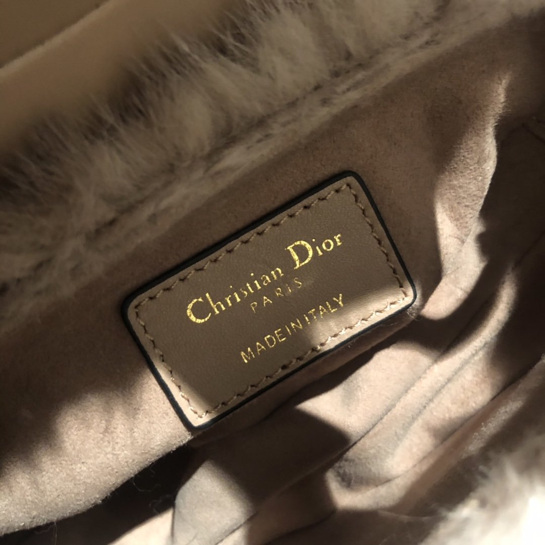 Christian Dior BAG