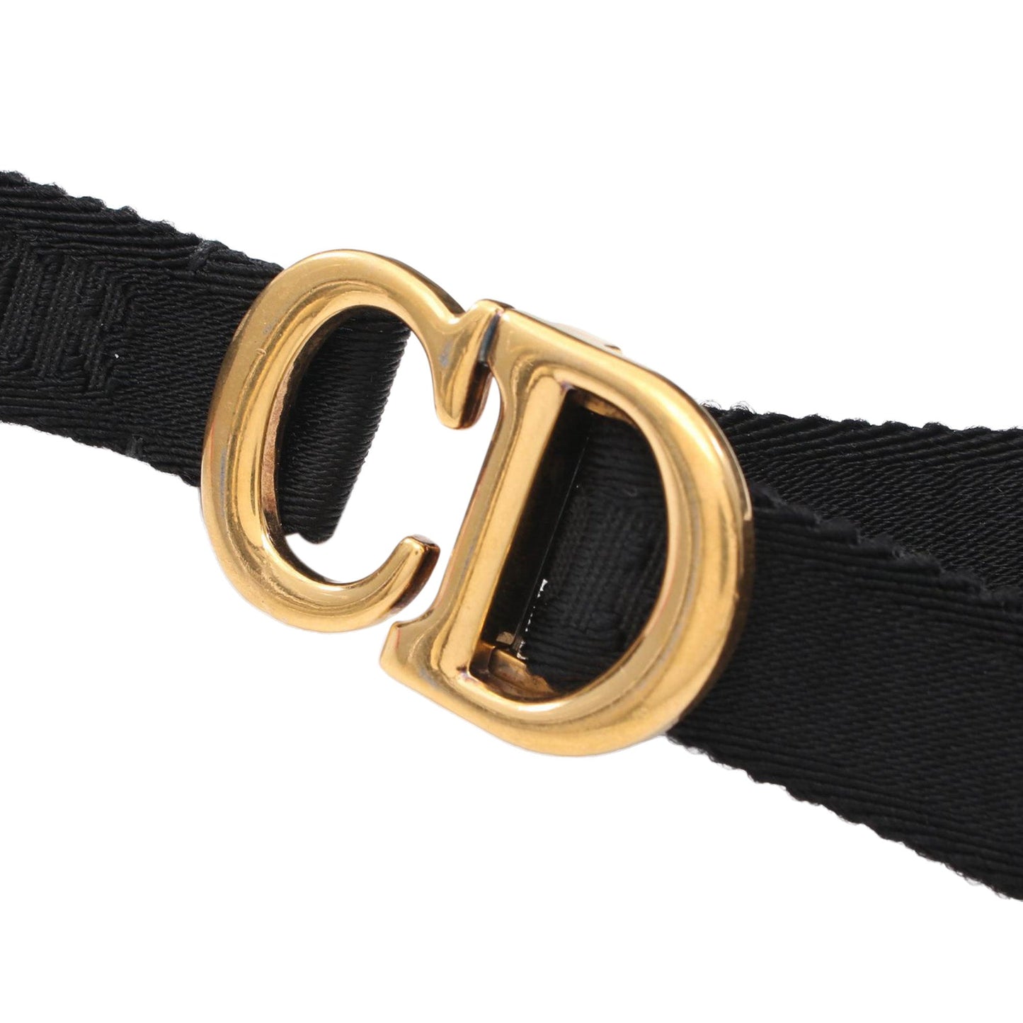 Oblique Canvas Saddle Belt Bag
