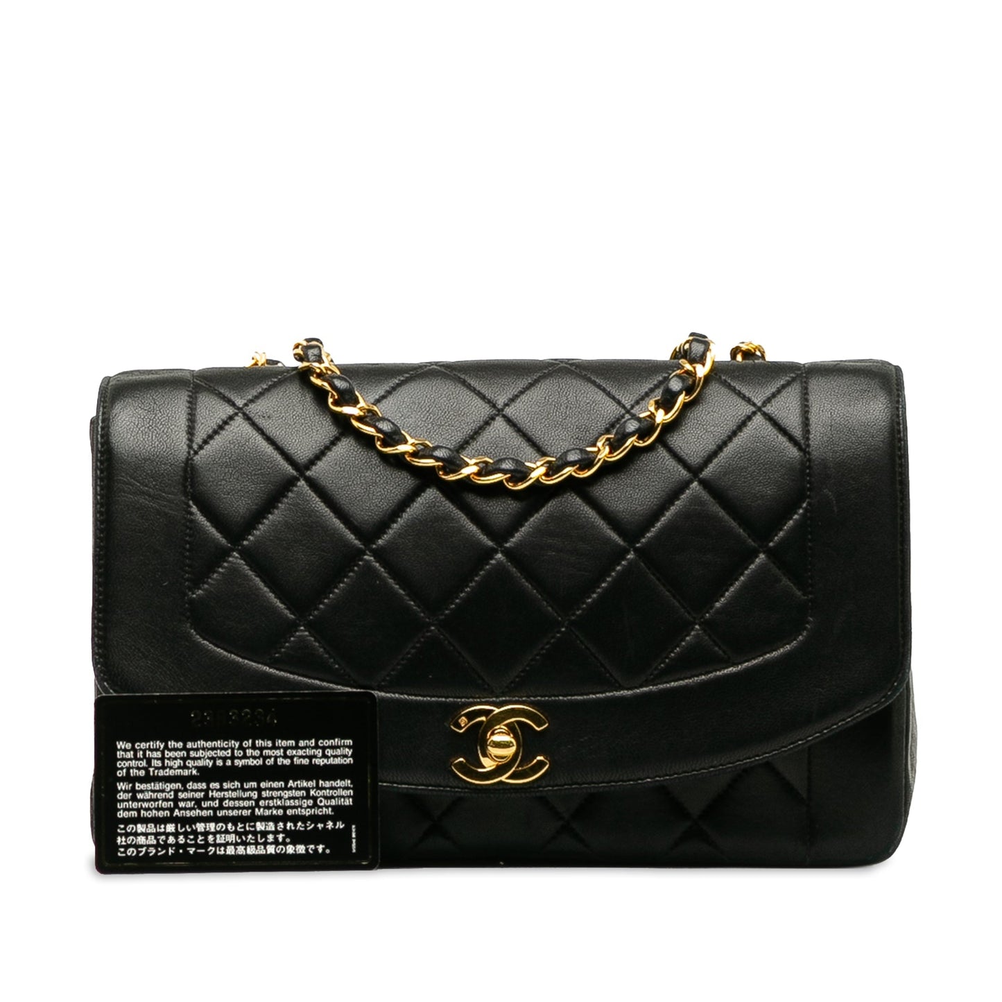 CHANEL Handbags Timeless/Classique