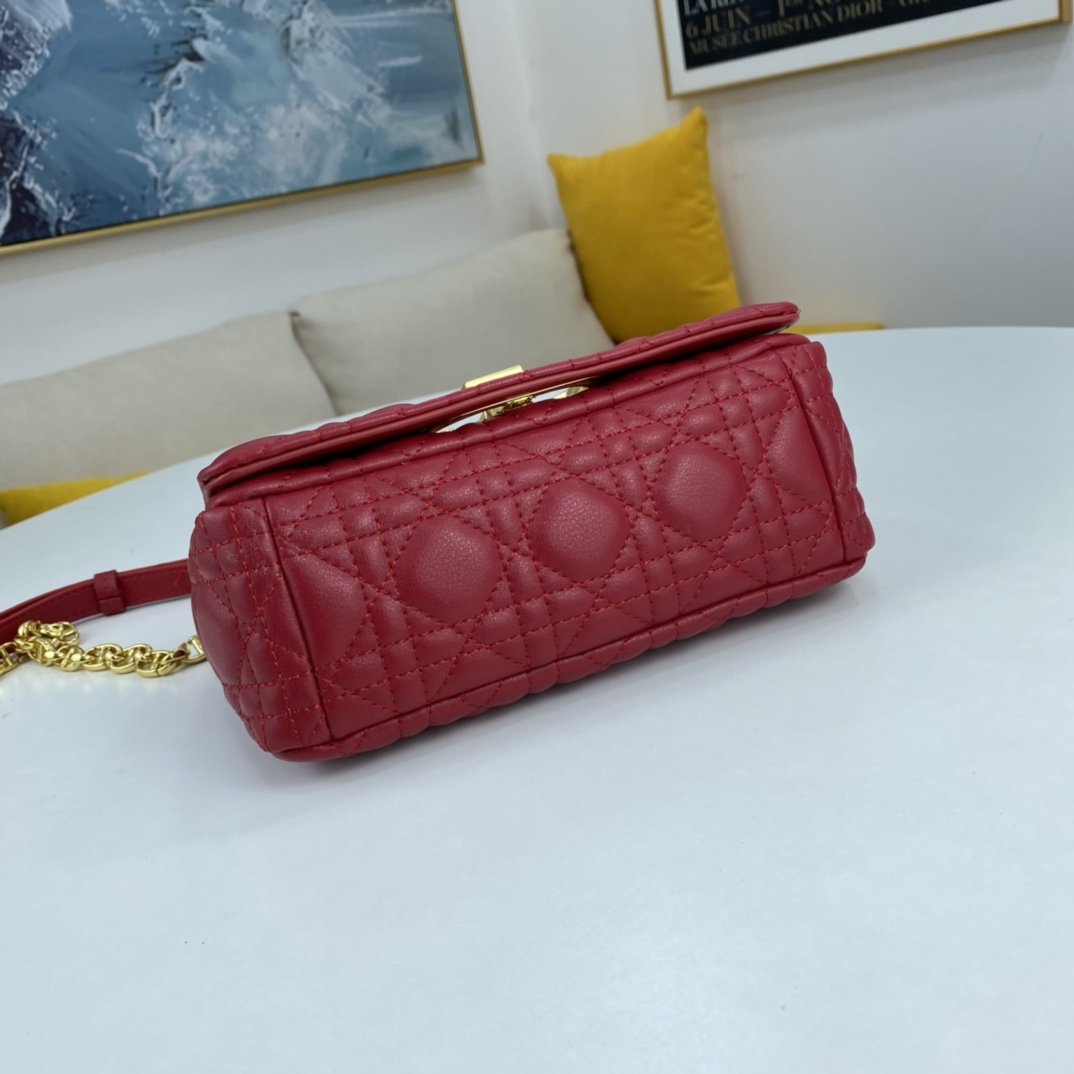 Luxury Edition Bags DIR 068