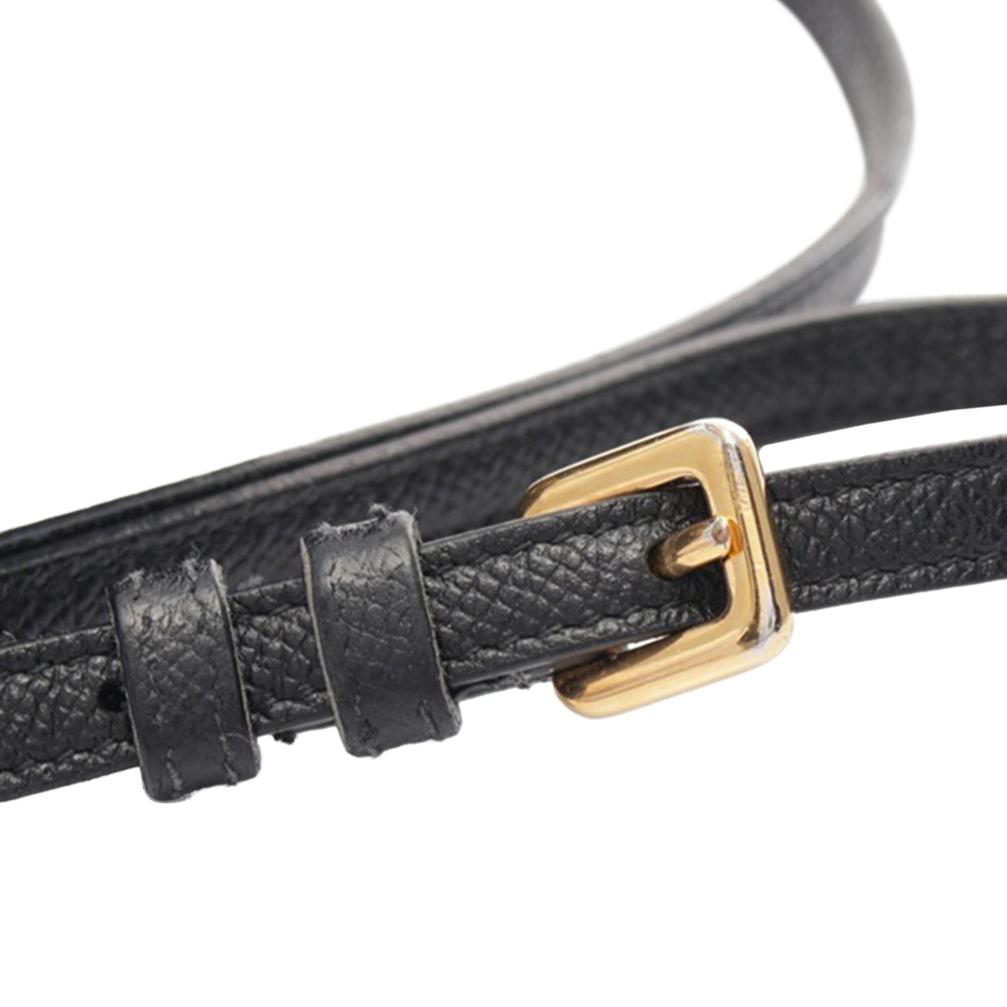 Grained Calfskin Caro Double Pouch