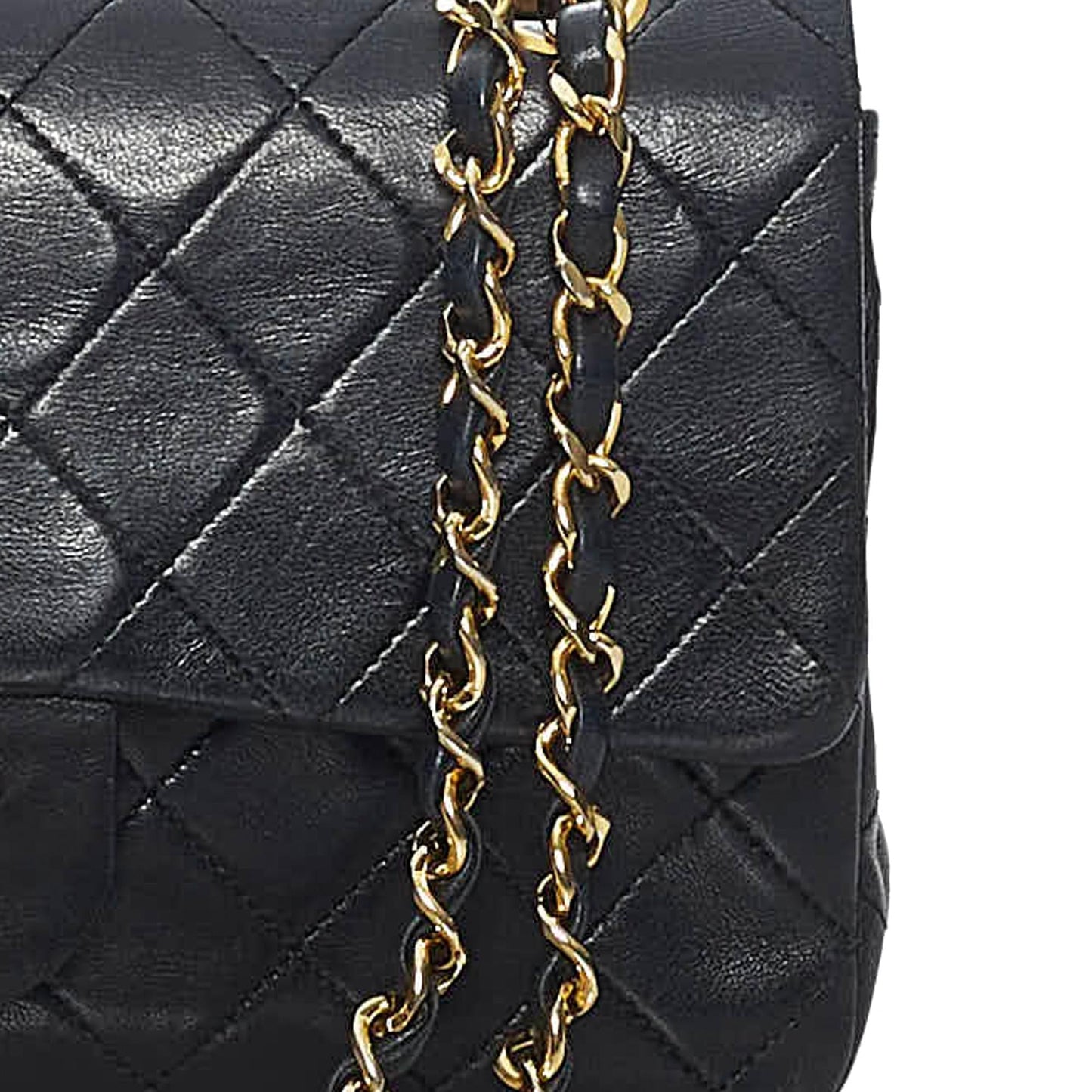 Chanel Classic Lambskin Leather Double Flap Bag (SHG-31300)