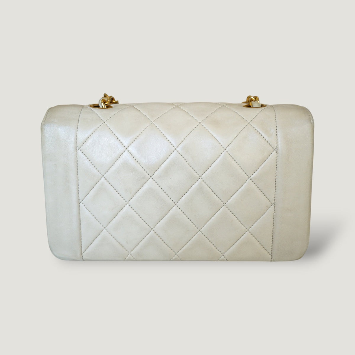 CHANEL DIANA SMALL BAG