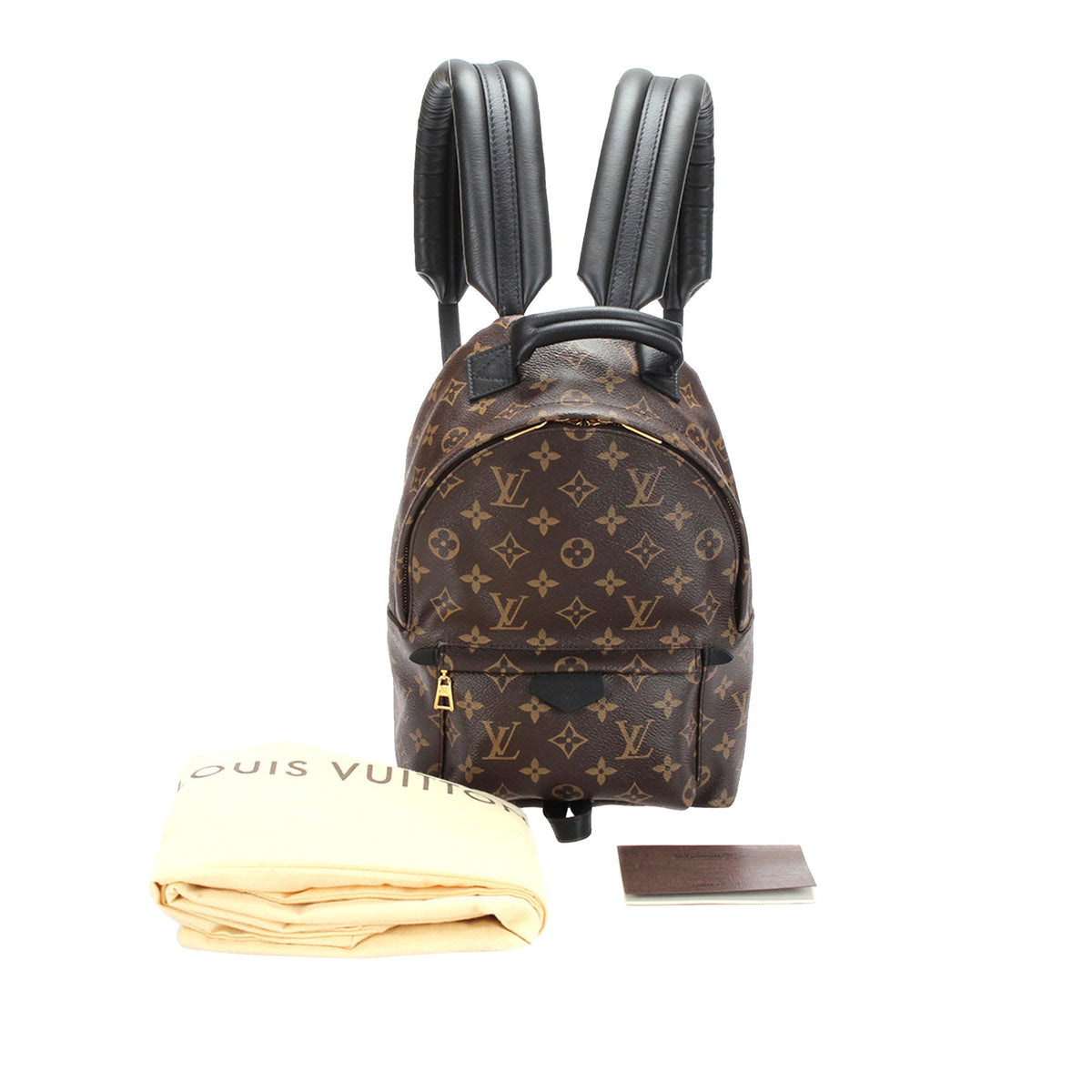 Louis-Vuitton Monogram Palm Springs PM Brown