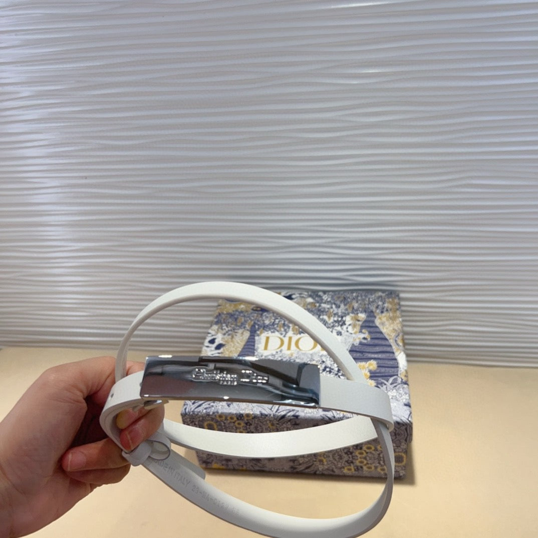 BL240 Dior Icon Belt / 17 mm