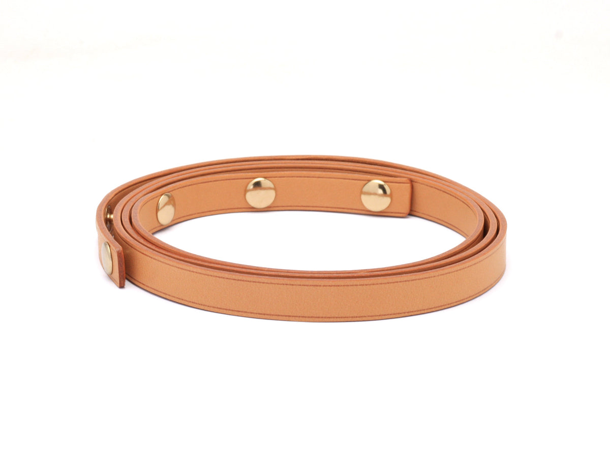 Louis Vuitton Florentine Strap
