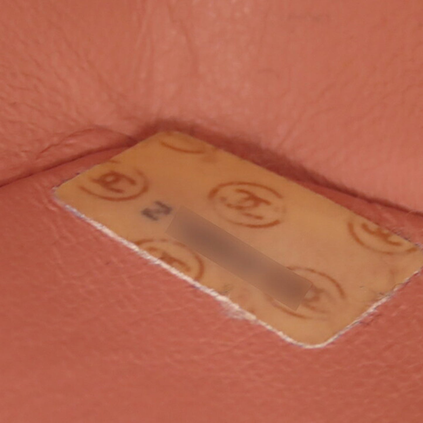 Pink Chanel Medium Canvas Diana Flap Crossbody Bag