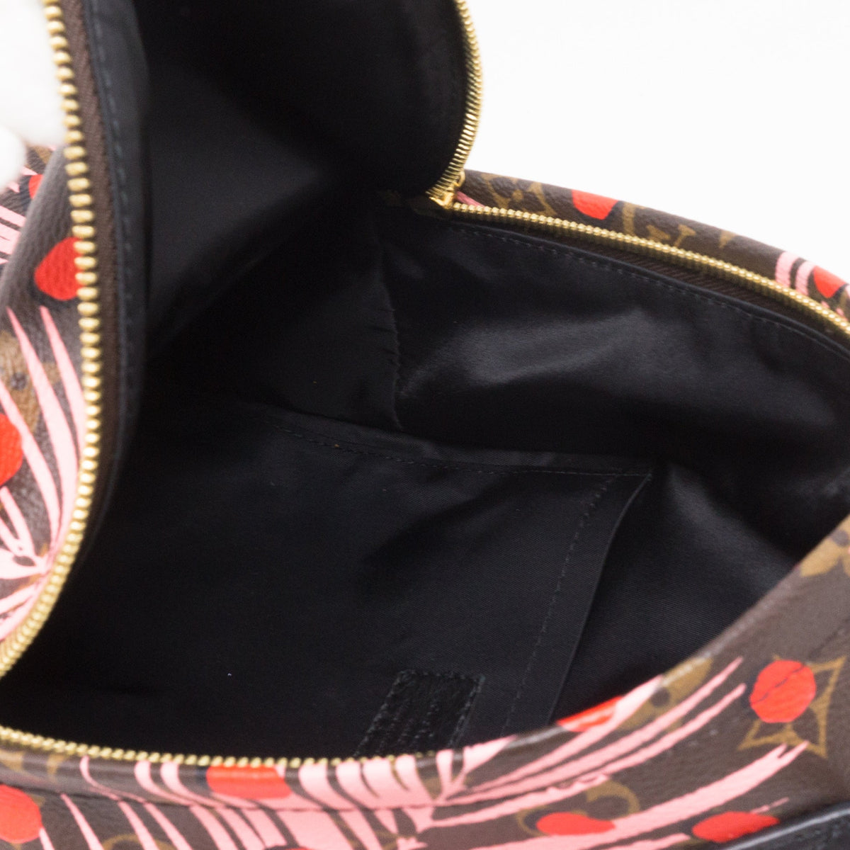 Louis-vuitton Palm Springs PM Backpack Monogram Jungle Dots