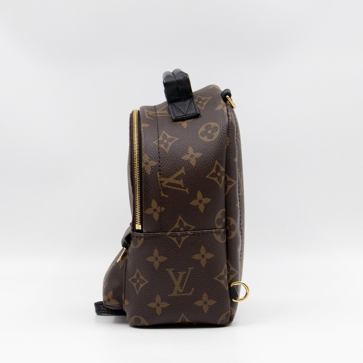 Palm Springs Backpack Mini Monogram Macassar