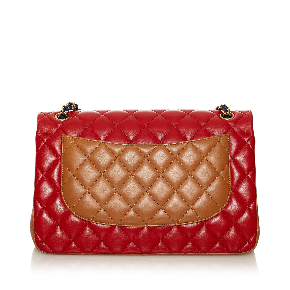 Chanel Tricolor Medium Classic Double Flap bag