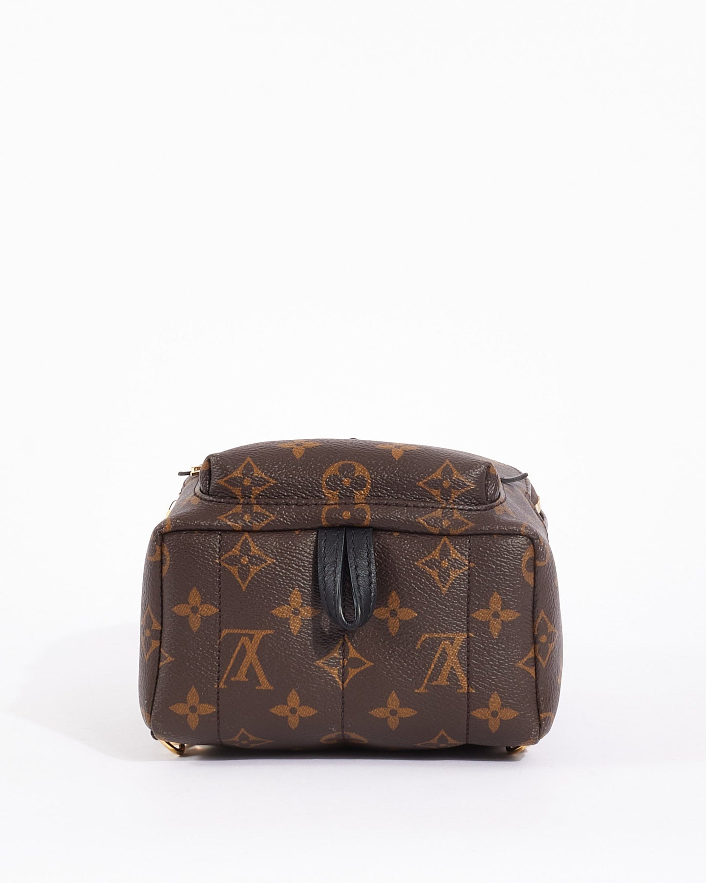Louis Vuitton Monogram Canvas Palm Spring Mini Backpack
