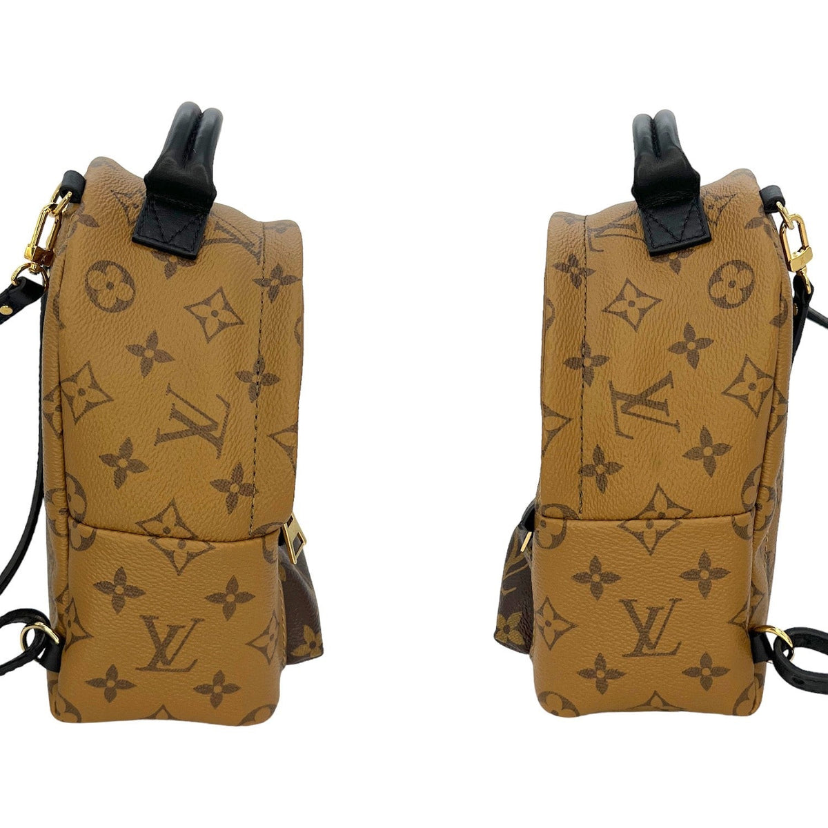 Louis Vuitton Monogram Reverse Mini Palm Springs Backpack