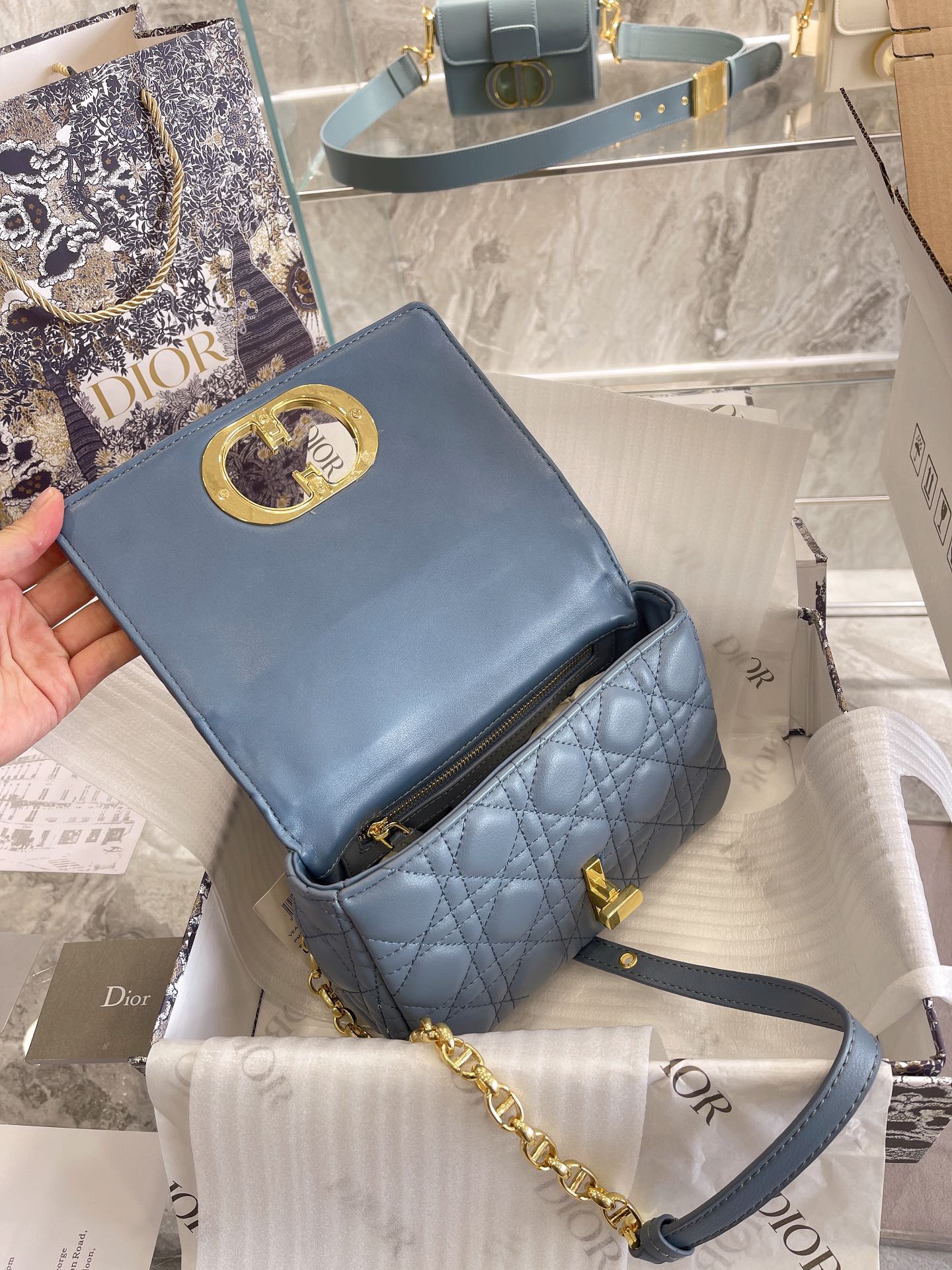 Luxury Edition Bags DIR 045