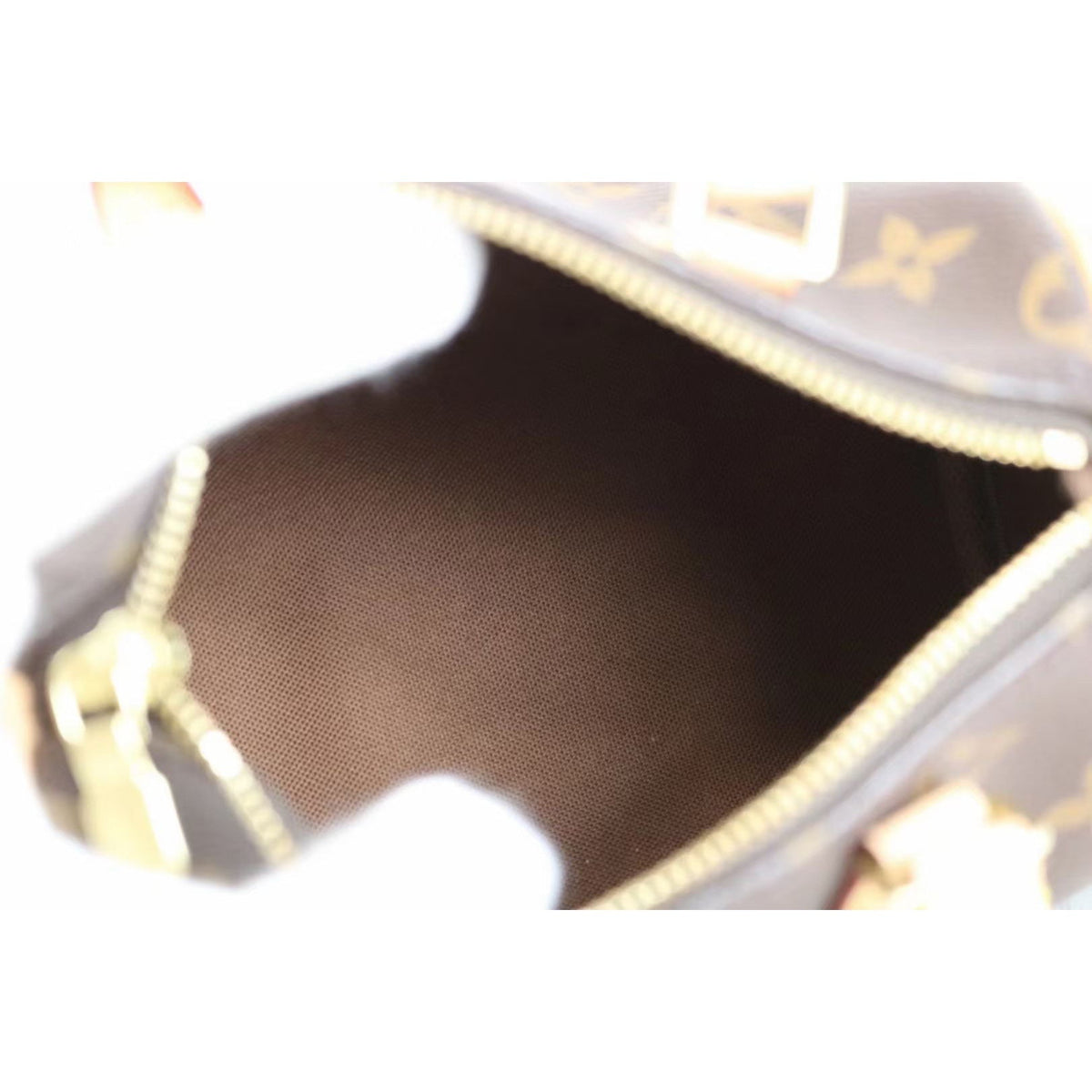 Rank SA |LV Monogram Nano Speedy Shoulder Bag|050614