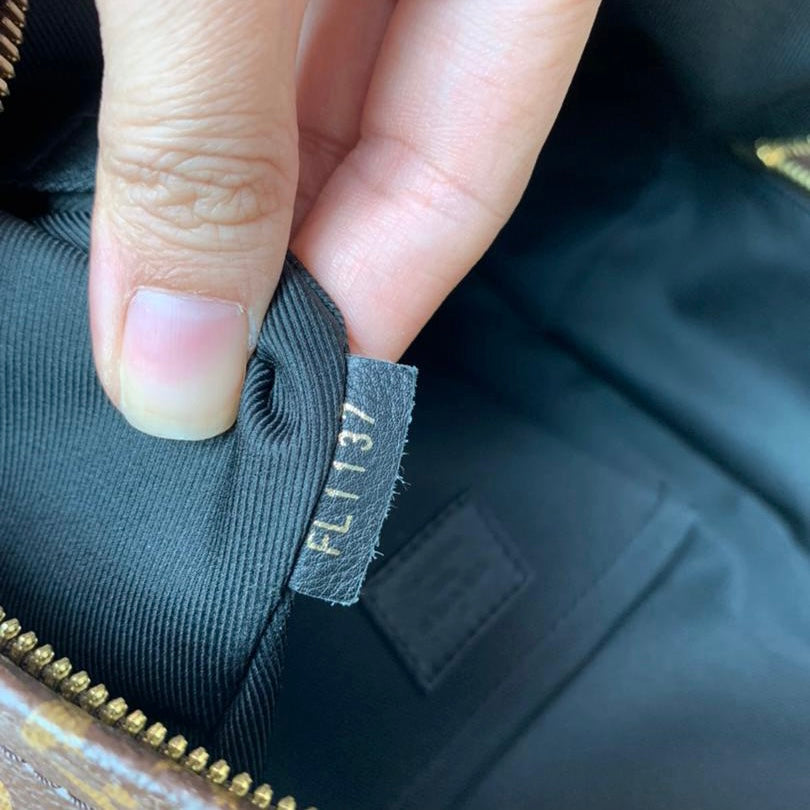 Louis-Vuitton Monogram Palm Springs MM Brown
