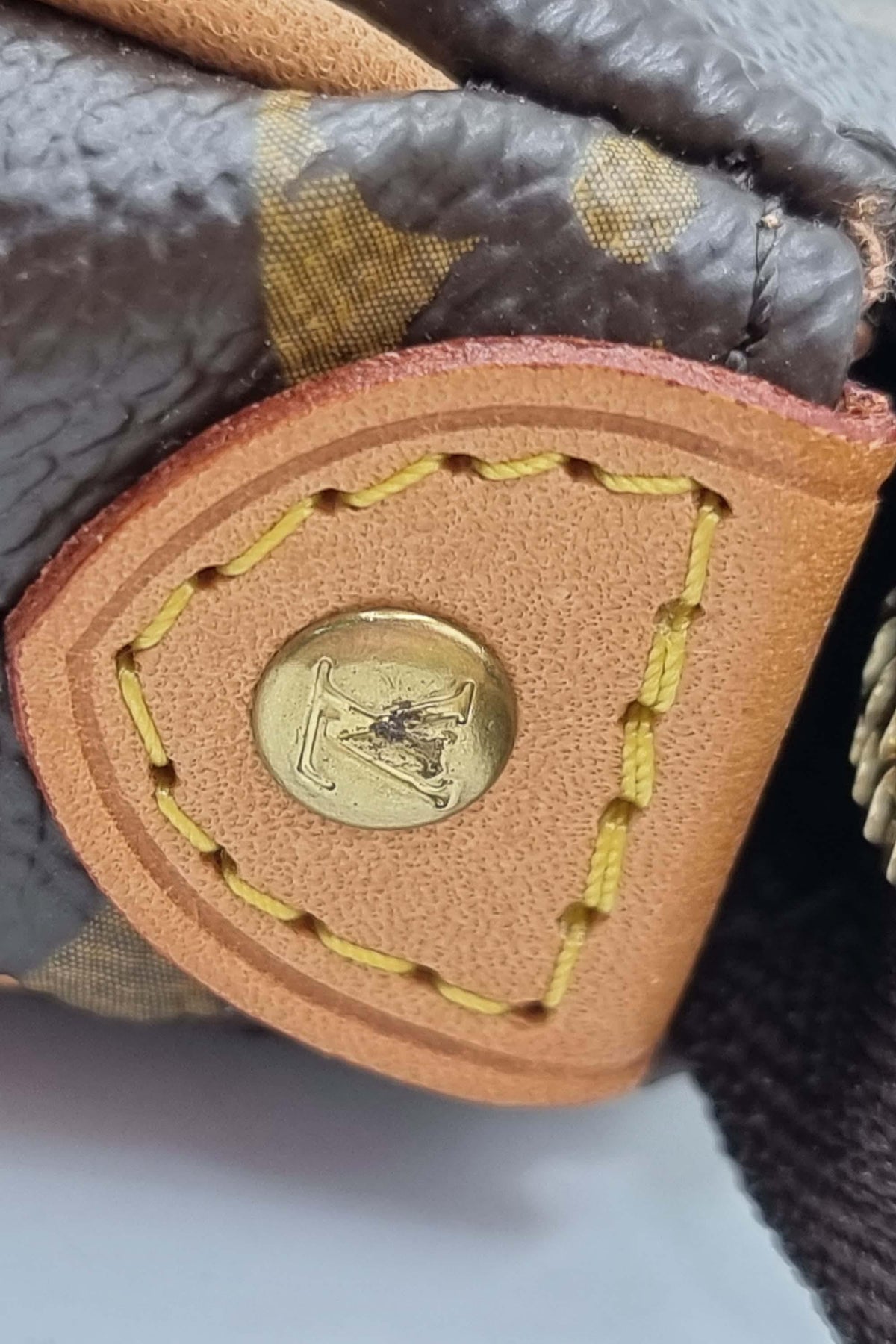 Monogram Eva Clutch on Strap Brown