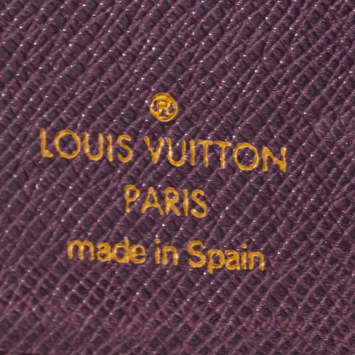 LOUIS VUITTON Tassil Yellow Epi Leather Small Ring Agenda Cover