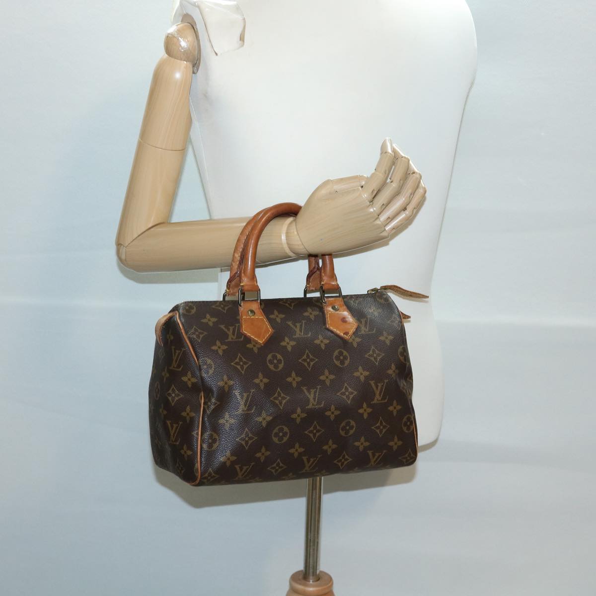 LOUIS VUITTON Monogram Speedy 25 Hand Bag M41528 LV pt5116