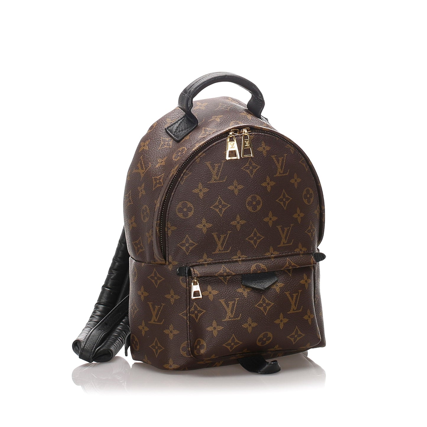 Louis-Vuitton Monogram Palm Springs PM Backpack