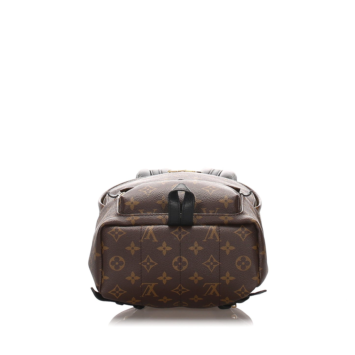 Louis-Vuitton Monogram Palm Springs PM Backpack
