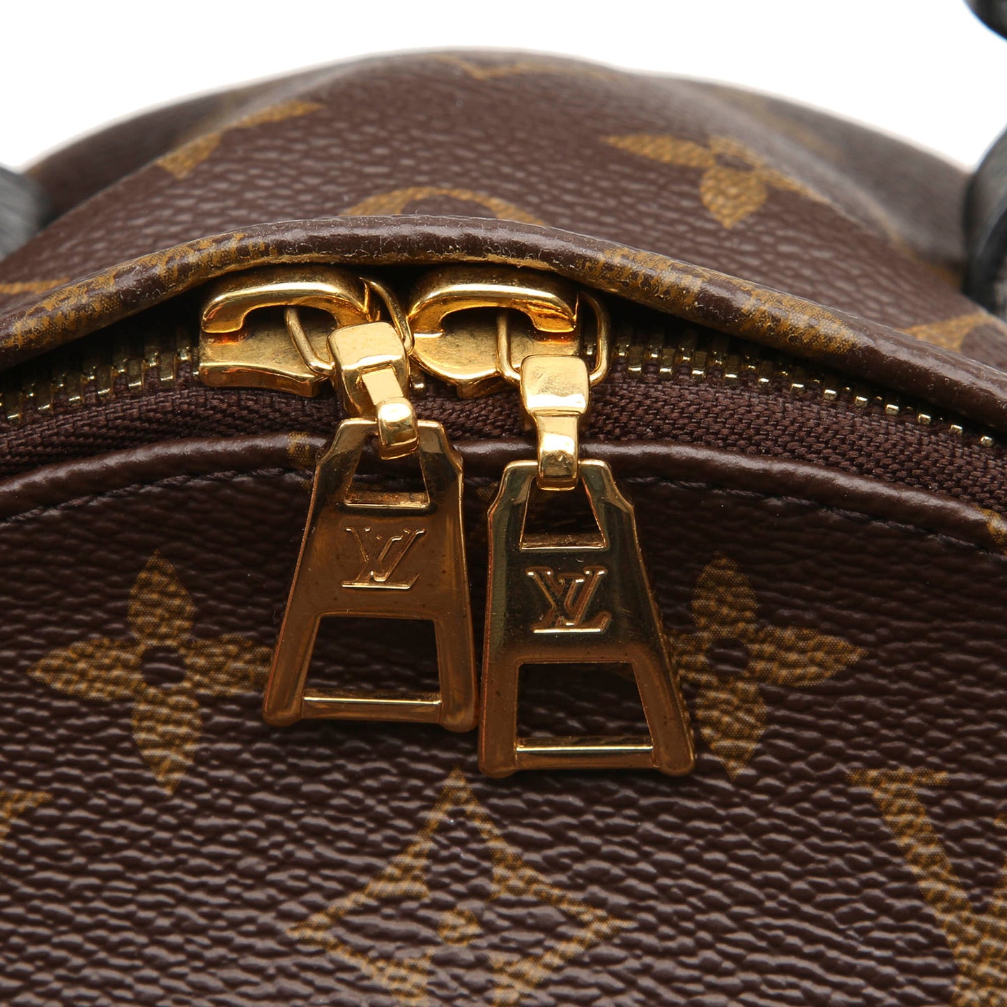 Louis-Vuitton Monogram Palm Springs PM Backpack
