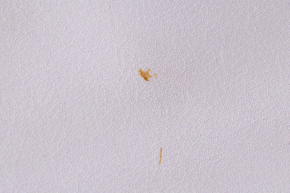 Burberry Vintage White & Green Handbag