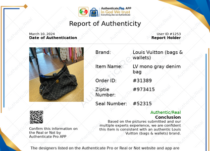 HandBag Luxury Designer By Louis Vuitton  Size: Large