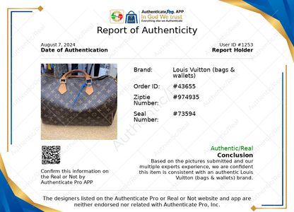 HandBag Luxury Designer By Louis Vuitton, Size: Large