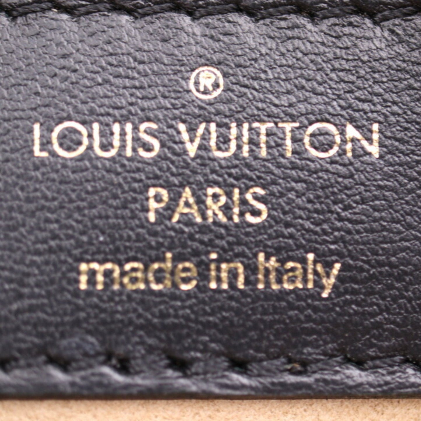 LOUIS VUITTON Troca Shoulder Bag