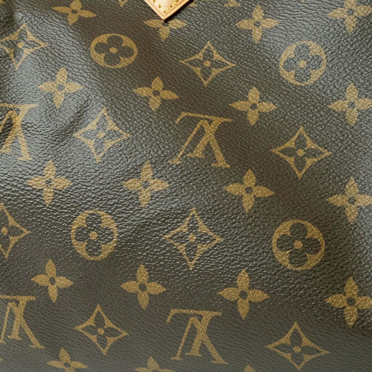 LOUIS VUITTON Speedy 30 Handbag