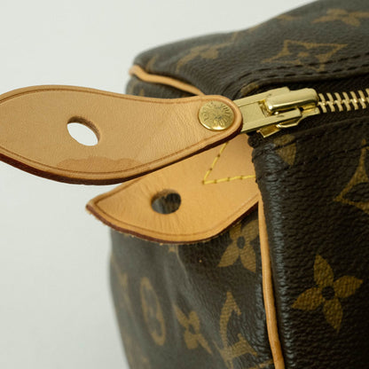 LOUIS VUITTON Speedy 30 Handbag