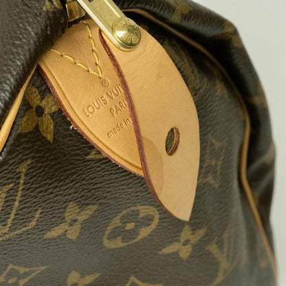 LOUIS VUITTON Speedy 30 Handbag