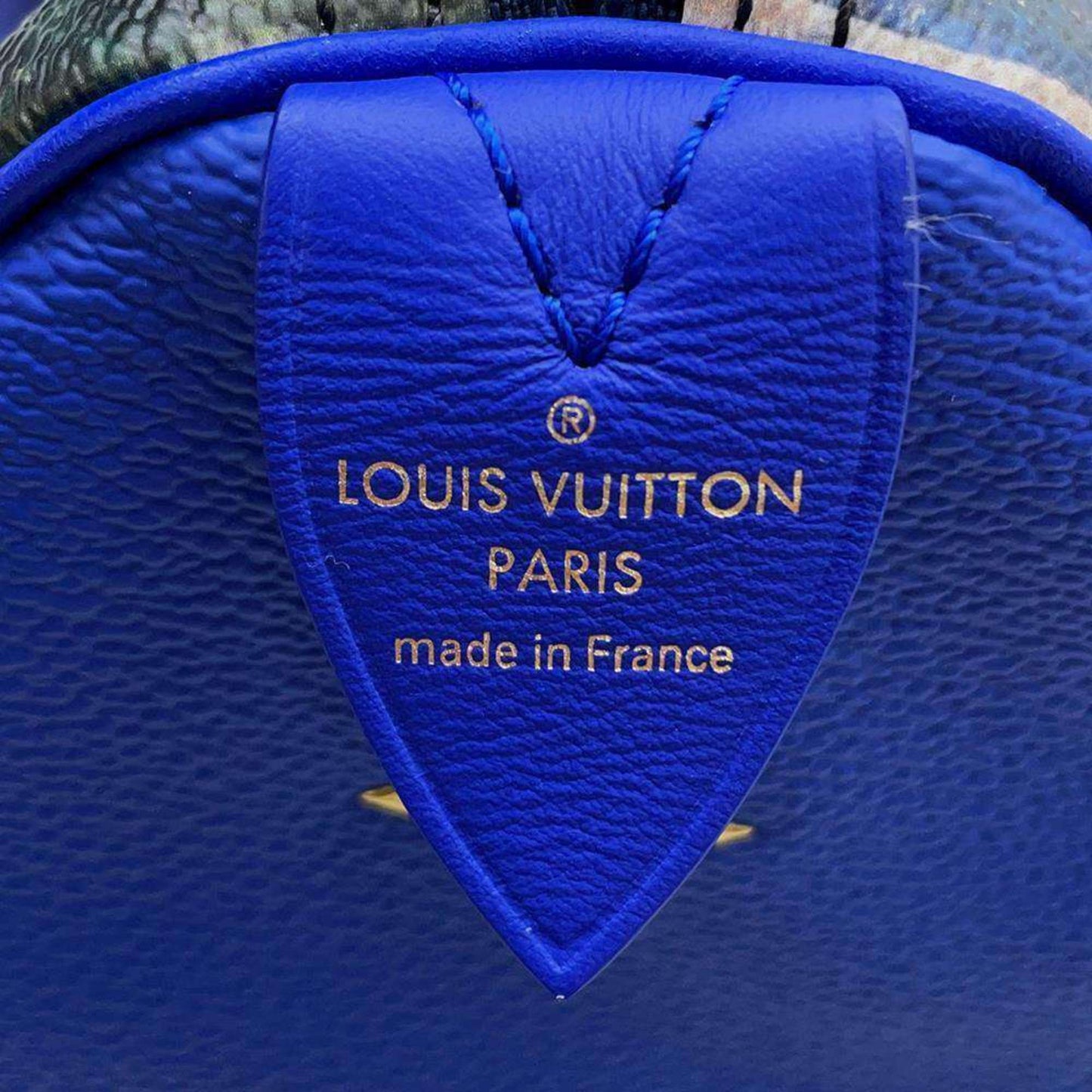 LOUIS VUITTON Speedy 30 Handbag