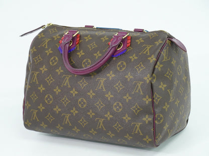 LOUIS VUITTON Speedy 30 Handbag