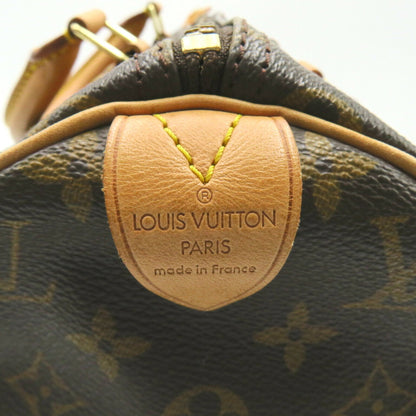 LOUIS VUITTON Speedy 30 Handbag