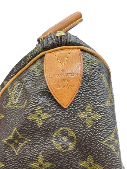 Handbag Designer By Louis Vuitton  Size: Medium