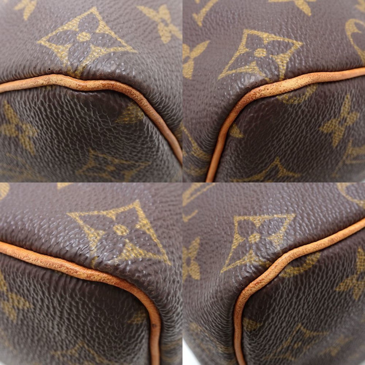 LOUIS VUITTON Speedy 25 Handbag