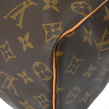 LOUIS VUITTON Speedy 25 Handbag