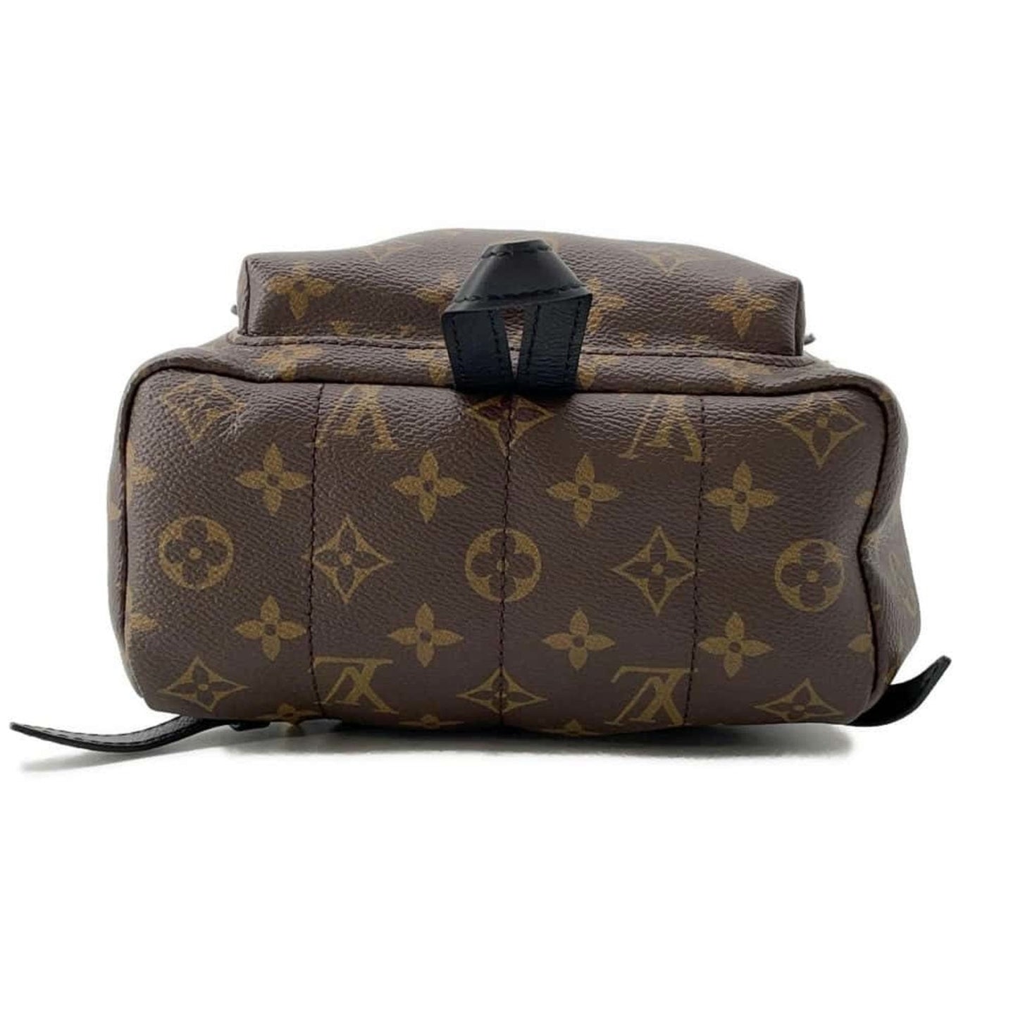 LOUIS VUITTON Palm SpRing MM Backpack