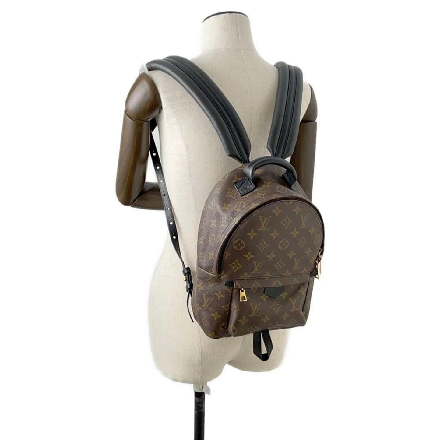 LOUIS VUITTON Palm SpRing MM Backpack