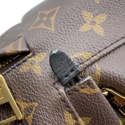 LOUIS VUITTON Palm SpRing MM Backpack