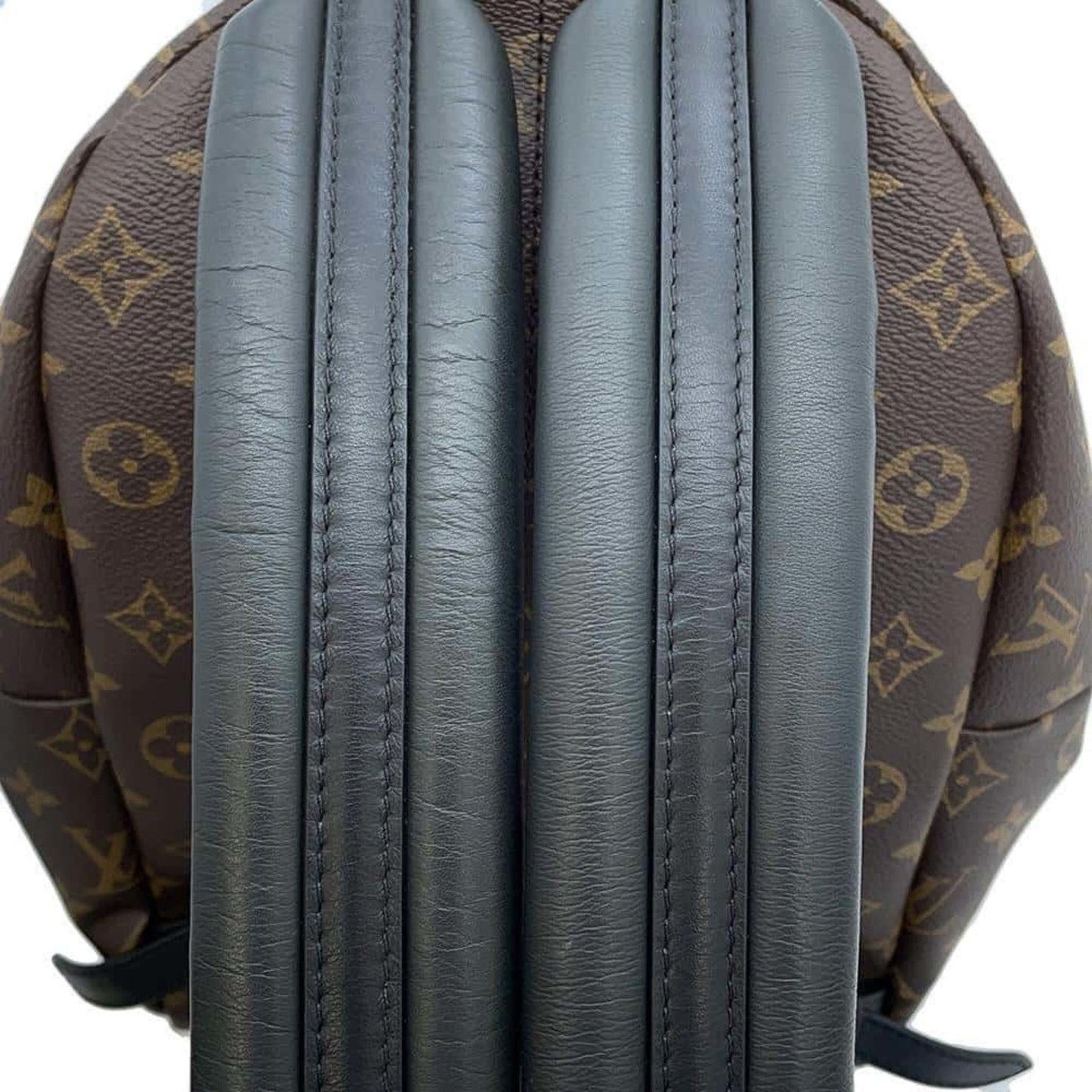 LOUIS VUITTON Palm SpRing MM Backpack