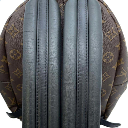 LOUIS VUITTON Palm SpRing MM Backpack