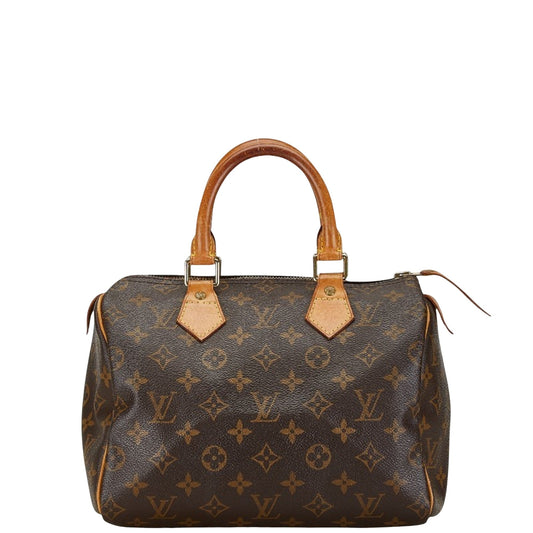 LOUIS VUITTON Speedy 25 Handbag