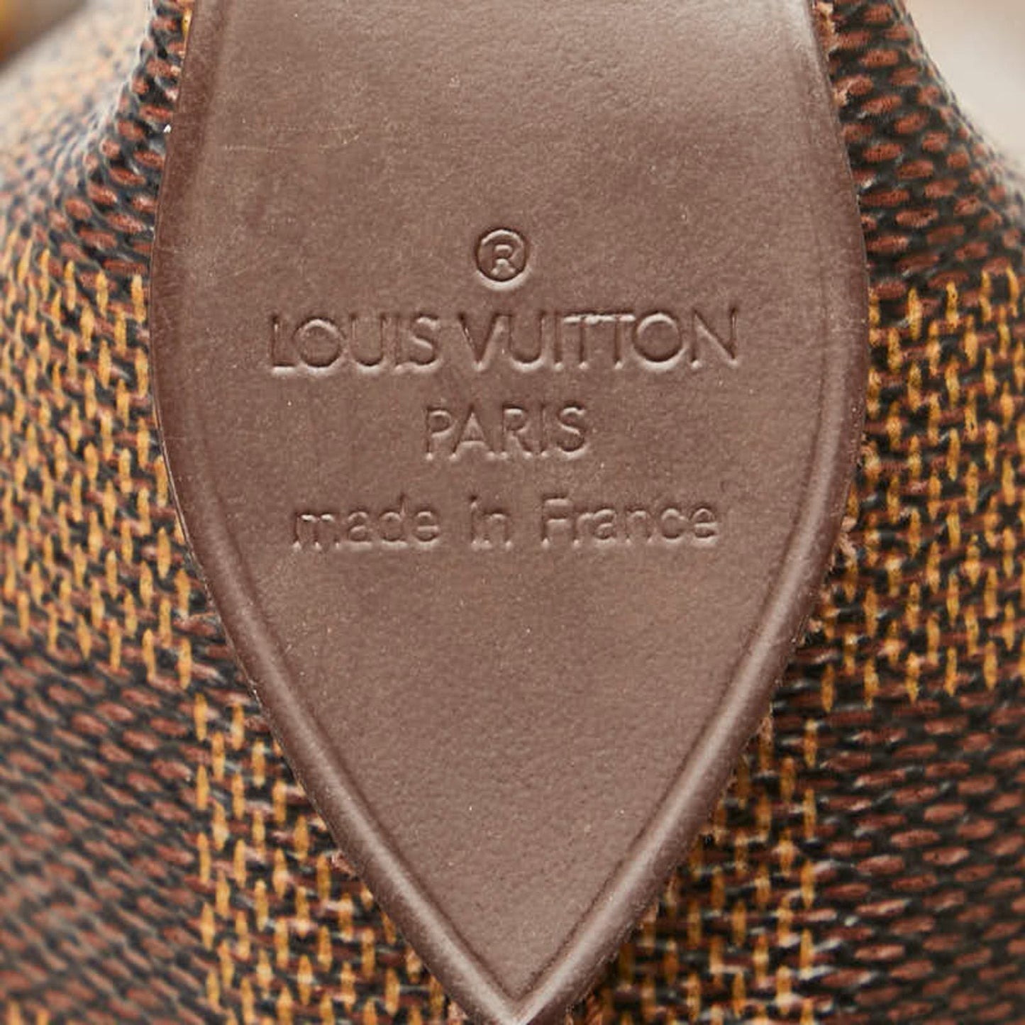 LOUIS VUITTON Saleya Tote