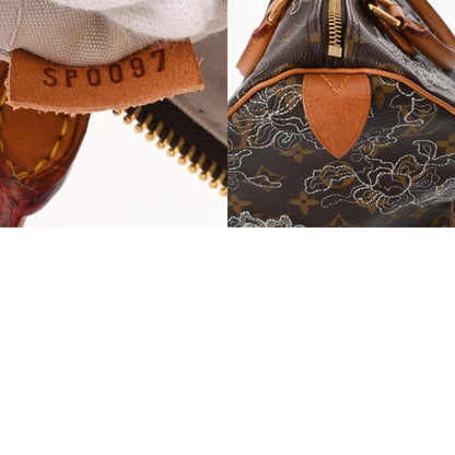 LOUIS VUITTON Speedy 30 Handbag